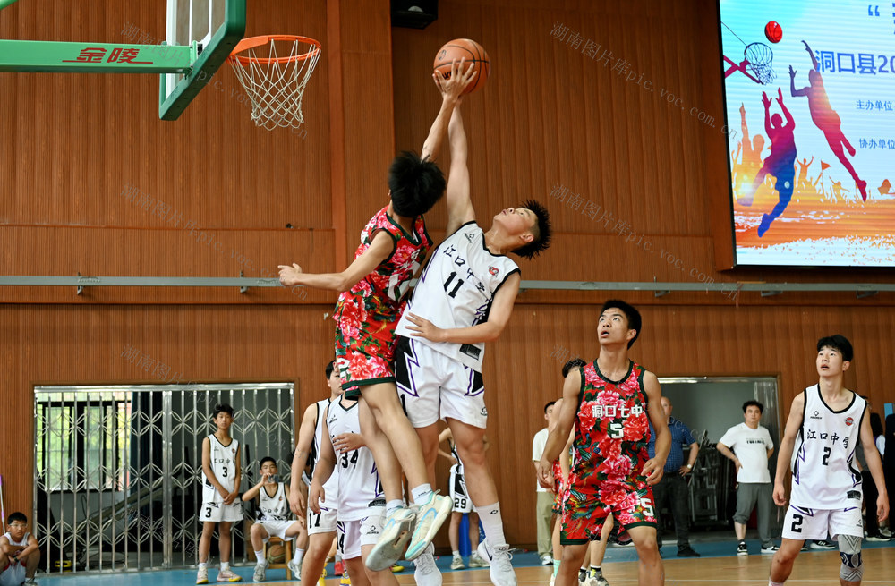 蓝球 体育场 学生 比赛 运动 校园 体育生活 球 体质 锻炼 学校