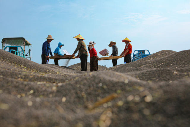 农业  油菜   丰收   高标准农田   旅游  村民   机械