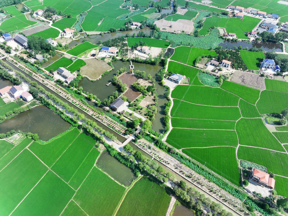 国保文物  农耕文化  八十垱遗址