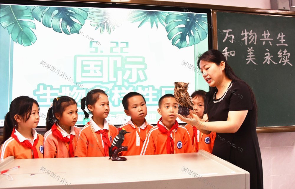  迎接“国际生物多样性日”
