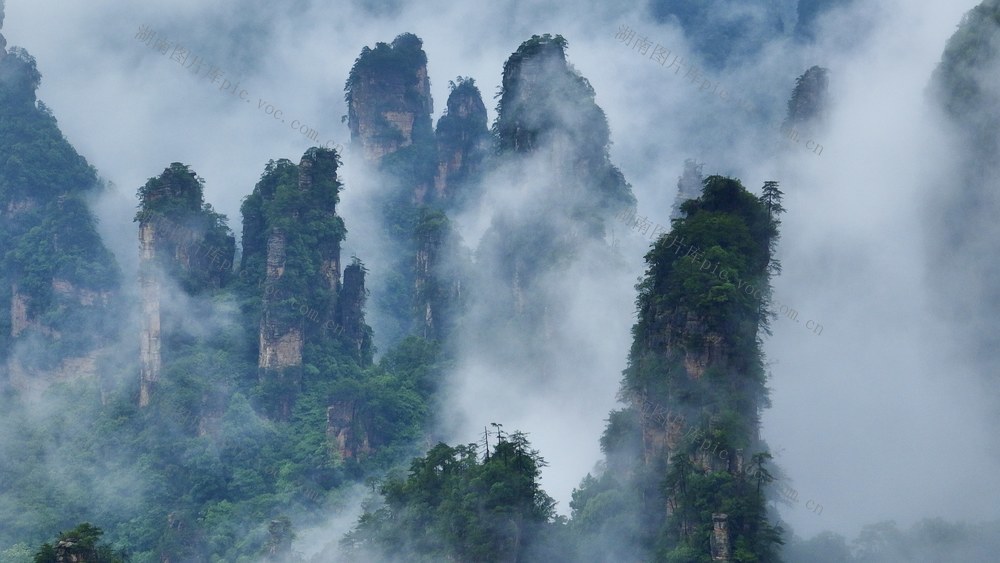 张家界 武陵源 云海景观 十里画廊 天子山 百龙天梯