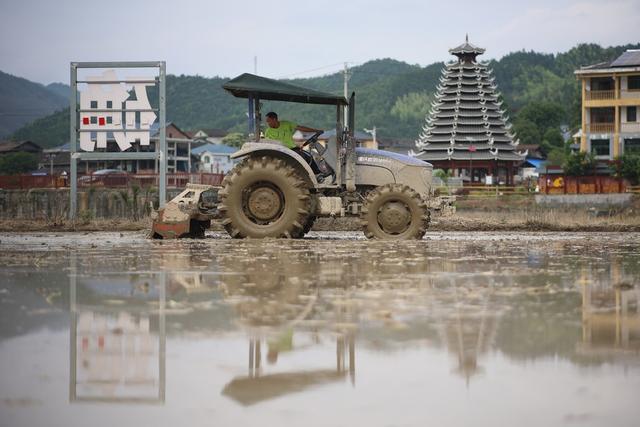 小满、农忙、节气、农机、夏种