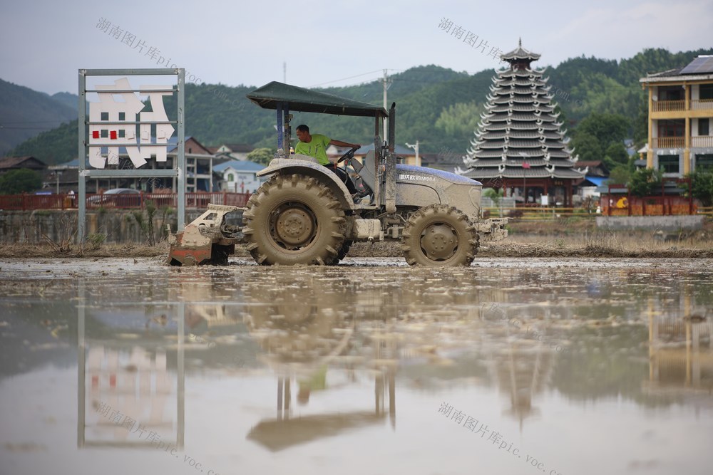 小满、农忙、节气、农机、夏种
