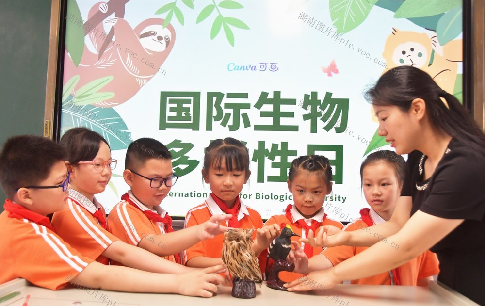 生物多样性 你我共参与