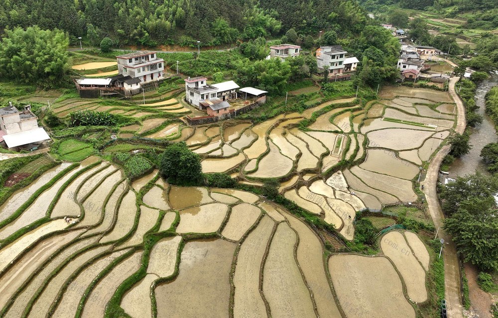 梯田  春耕  农忙  风景如画
