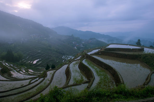 农业   梯田  云雾