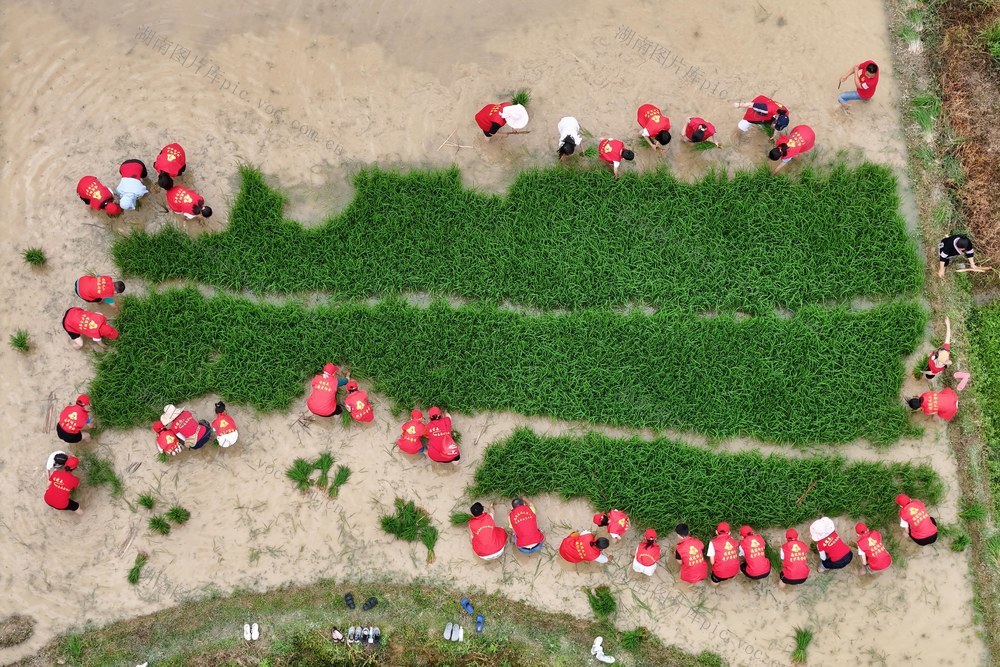 志愿服务、公益、助农、乡村振兴、民生