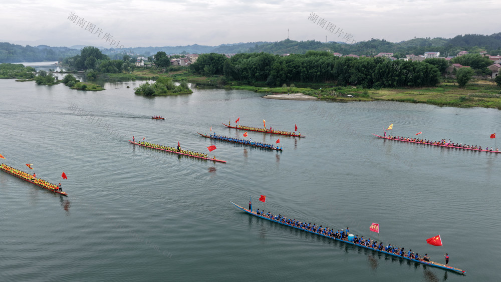 龙舟赛  龙舟巡游  麻阳龙舟