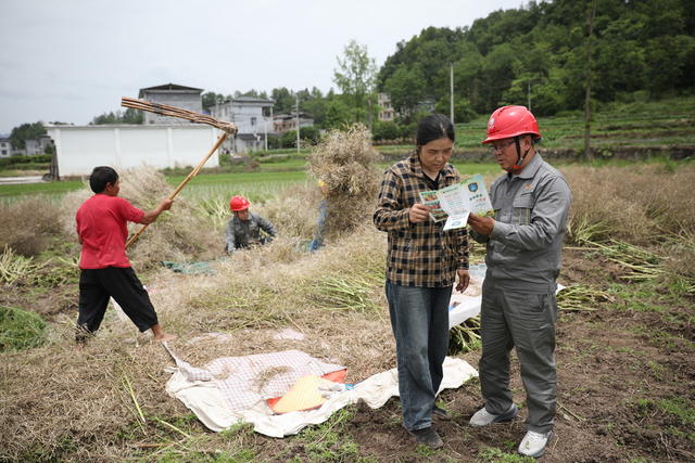 供电  服务  夏收季