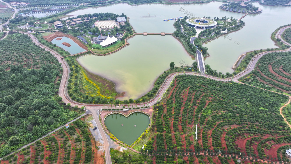 和美乡村  美景  乡村旅游 环境整治 乡村公路  特色产业  油茶