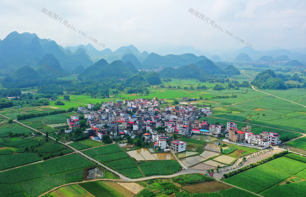 宁远：夏日田园美如画