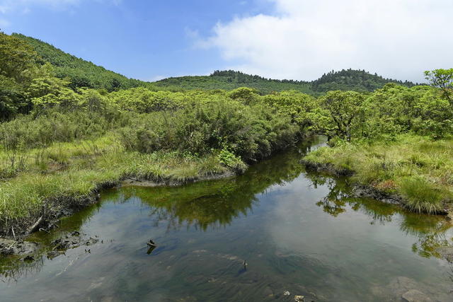 湿地 生态 古田 越城岭 南岭 广西