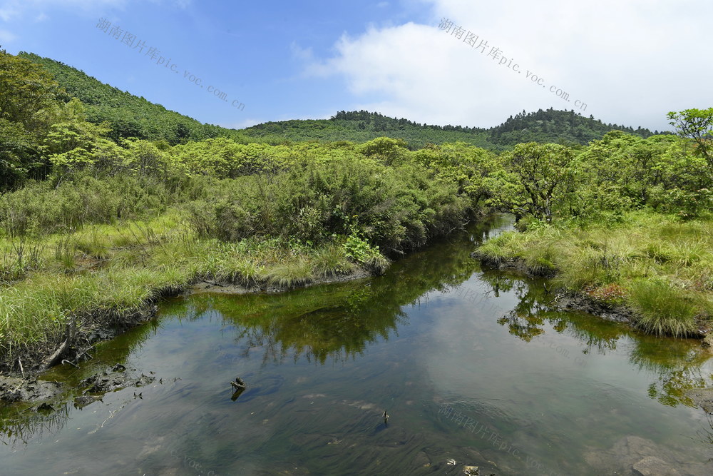 湿地 生态 古田 越城岭 南岭 广西