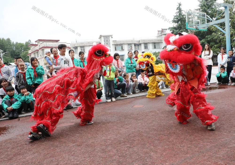 校园舞狮迎端午