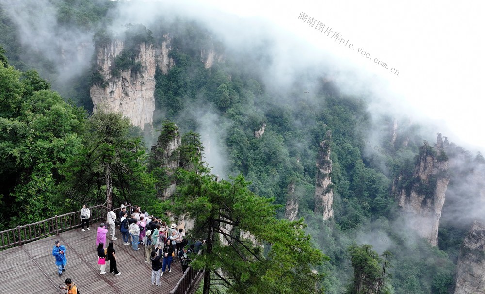 天子山 云雾 峰林