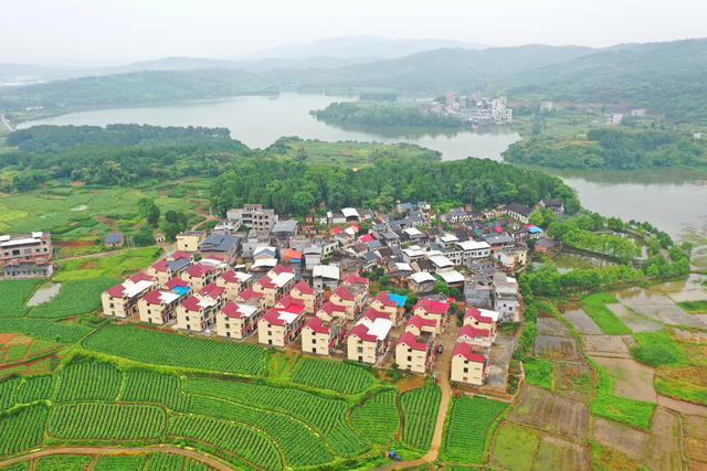 嘉禾：产业兴旺乡村美