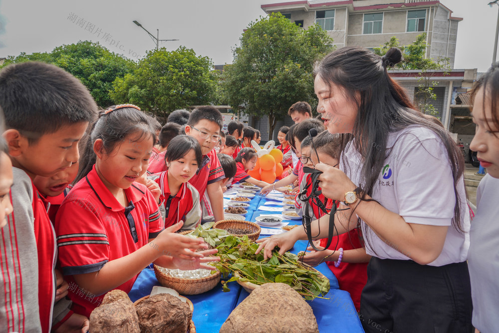 中医  传统文化  端午节  六一儿童节  校园文化