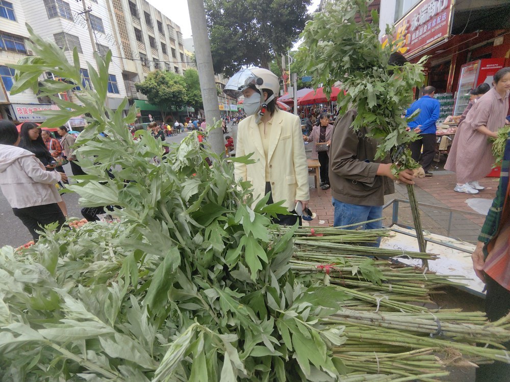 新田 药草街 端午 艾草 菖蒲 卖疯了
