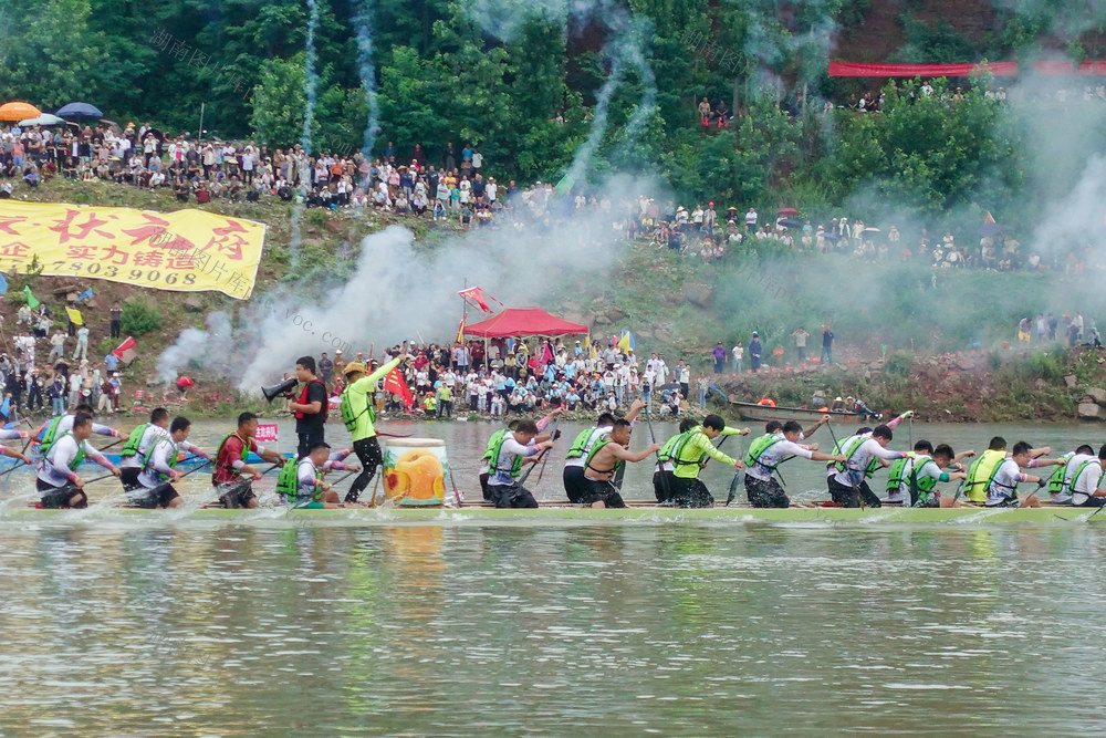 竞龙舟 过端午