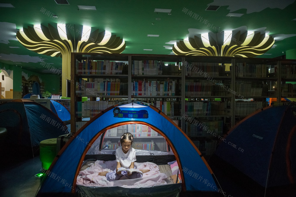 儿童  端午  奇妙  露营  图书  图书馆