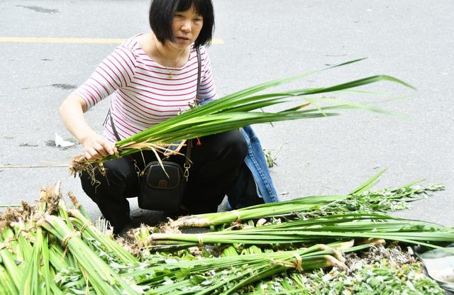 插艾草 挂菖蒲 过端午