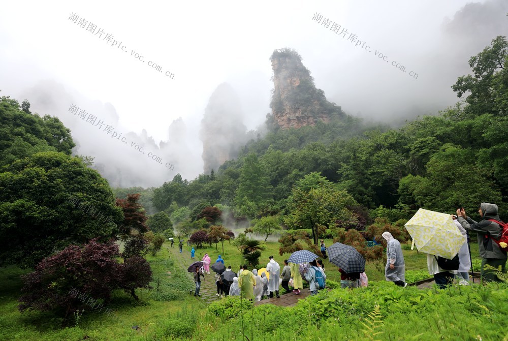 端午 假期 张家界