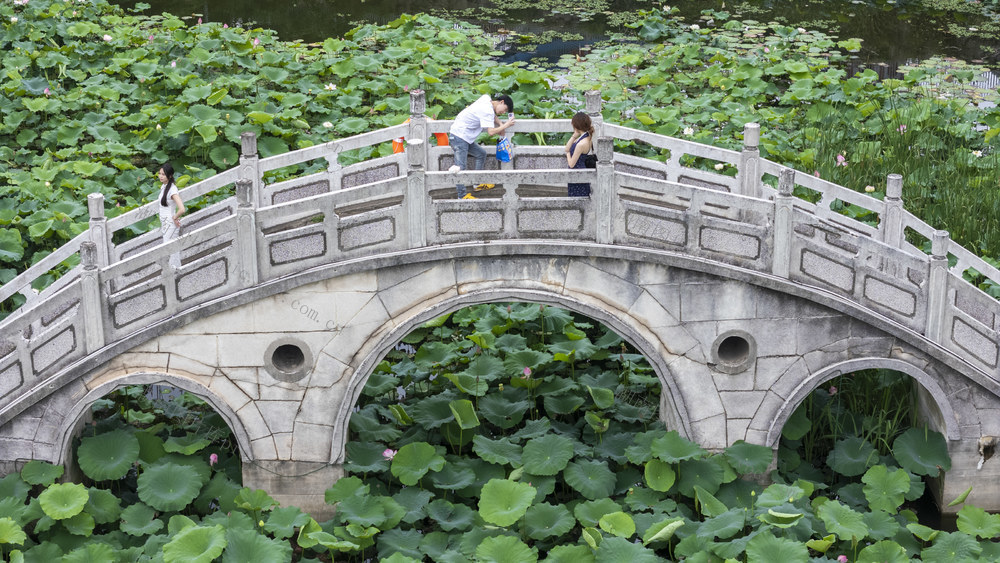 娄底 端午 游人  假期