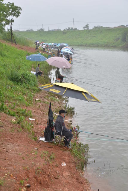 假日 钓鱼