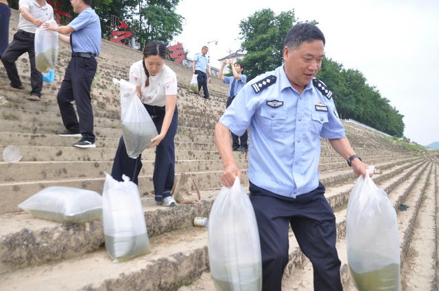 6月4日，湖南省沅陵县举办“六五”环境日宣传活动，活动主题是：美丽中国我先行。当天，环保、水利和教育等15家单位，纷纷开展各种宣传活动。图为一名女检察官将鱼儿放入河中情形。（凌长启）