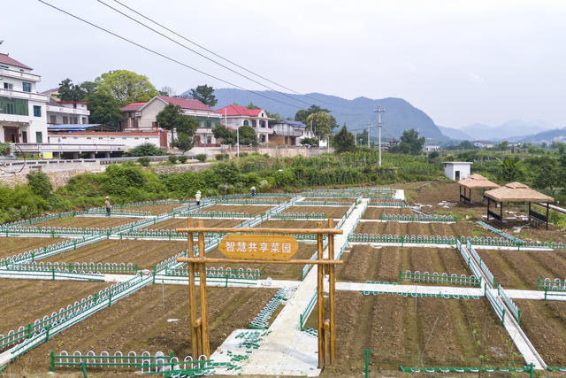 娄底 共享菜园 智慧 乡村资源 新业态