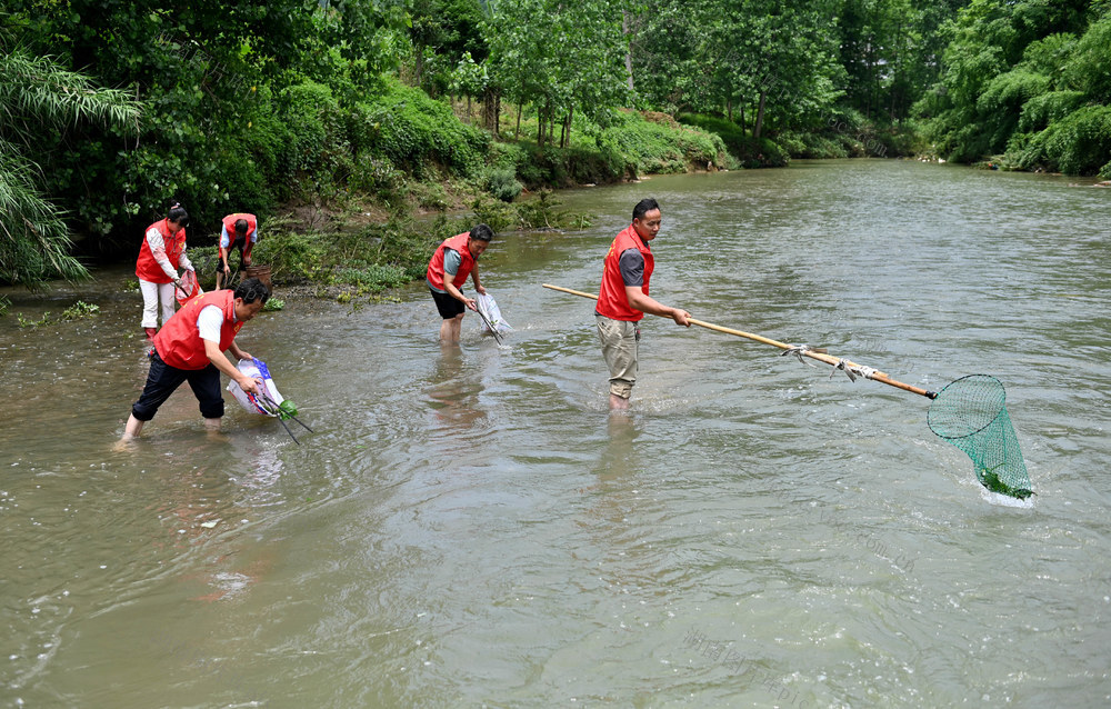 世界环境日，河道，水，保护，清理，志愿者，环保，生态，环境，公益活动，