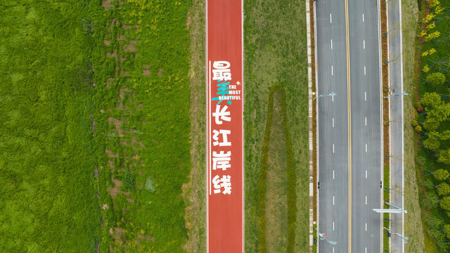 洞庭湖绿色步道