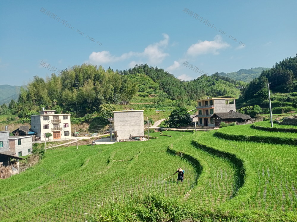 梯田  村民  管护