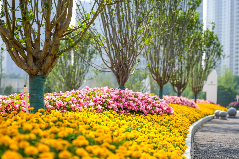 长沙隆平水稻博物馆