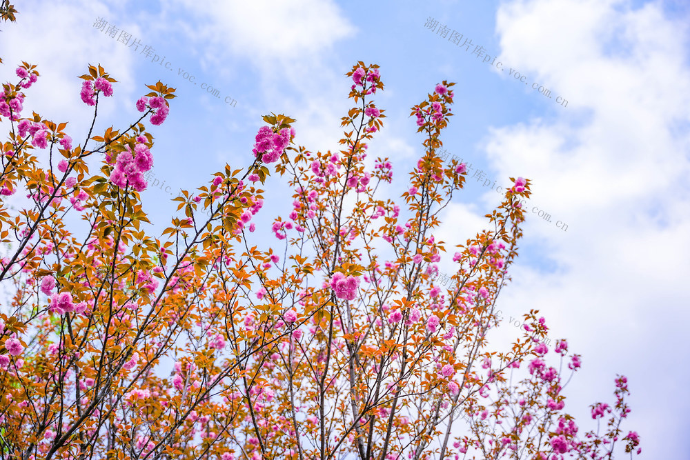 长沙尖山湖公园