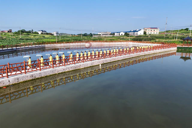 旗袍  走秀   和美  乡村  美丽  庭院
