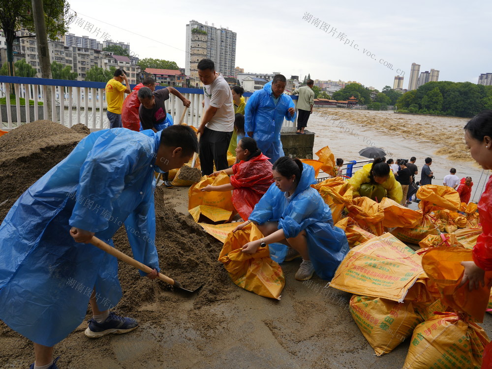 暴雨 抢险 抗洪 救灾 党员干部 紧急避险 转移群众