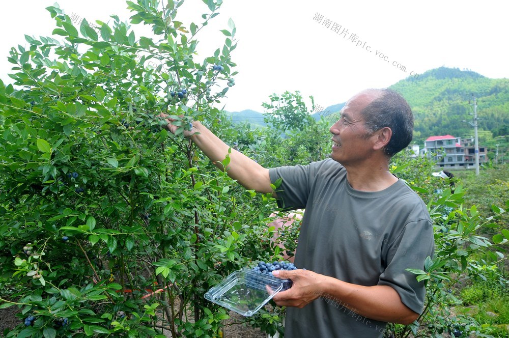 游客  深冲 乐趣