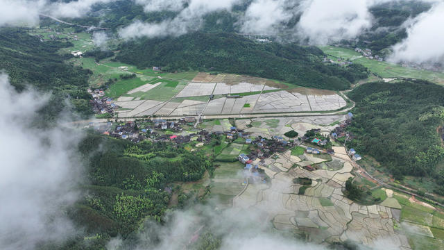 耕地  保护  农民  粮食生产  增收