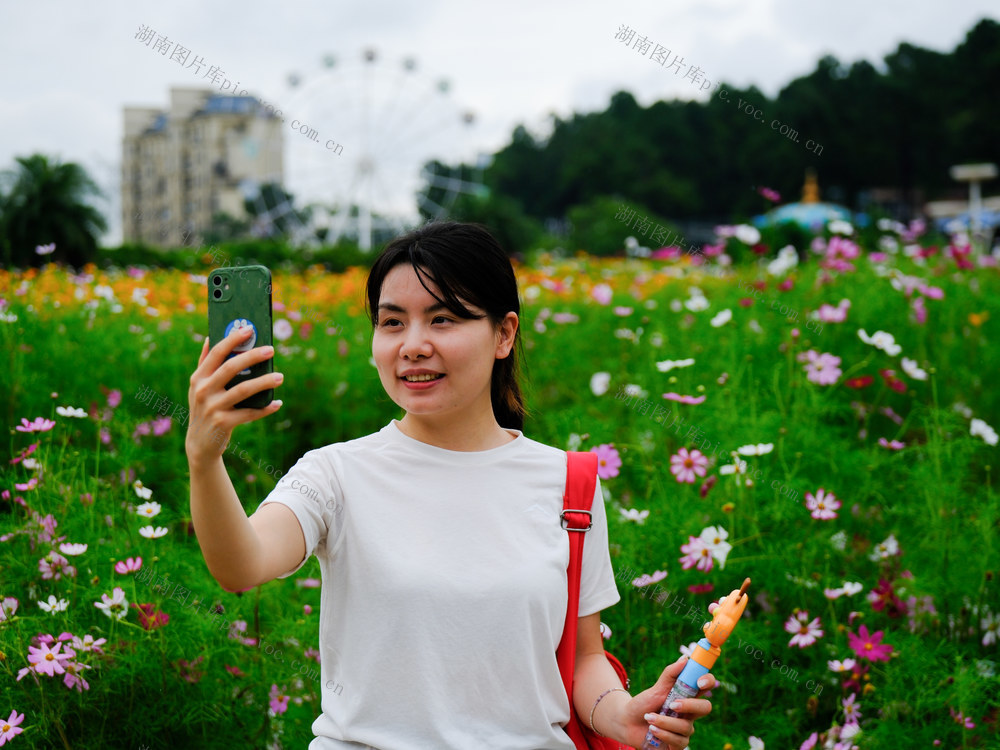 格桑花，湖南省植物园