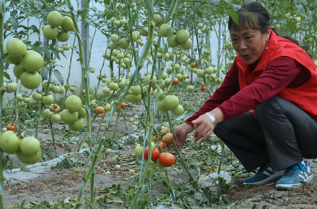 湖南桂东 产业+文旅 乡村振兴 新业态