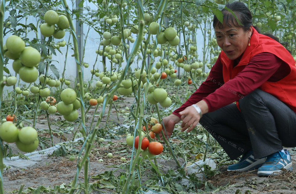湖南桂东 产业+文旅 乡村振兴 新业态