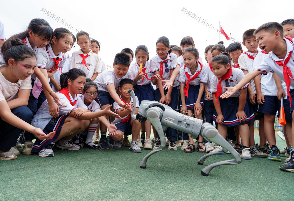 教育 科普进校园 科技大篷车