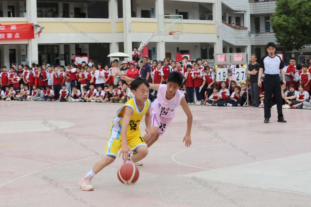 篮球 中小学生 联赛 茶BA