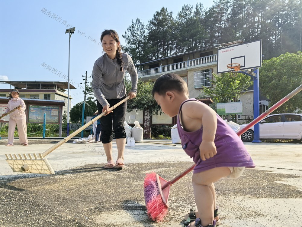 油菜籽丰收 晾晒
