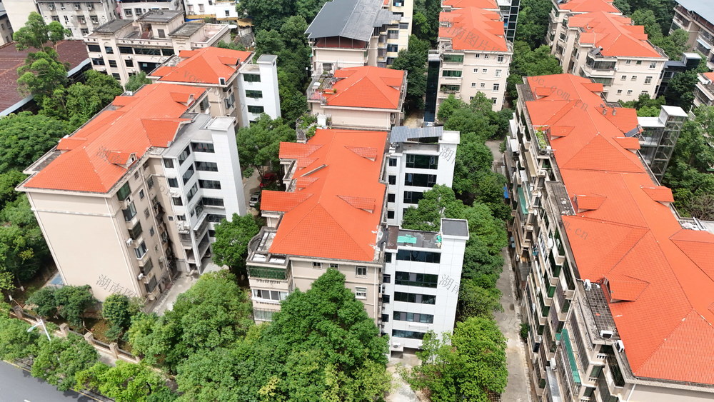 老旧小区 电梯 住房改造 幸福感 民生工程