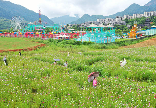 郴州：徜徉花海 乐享美景