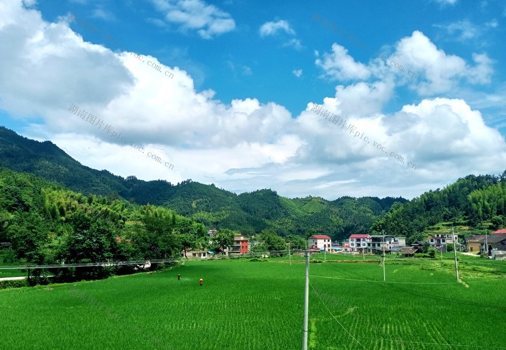 村庄  白云  画面