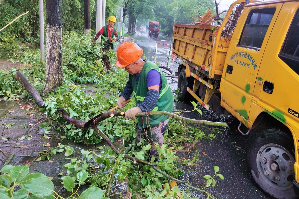 台风 蝴蝶  应急  