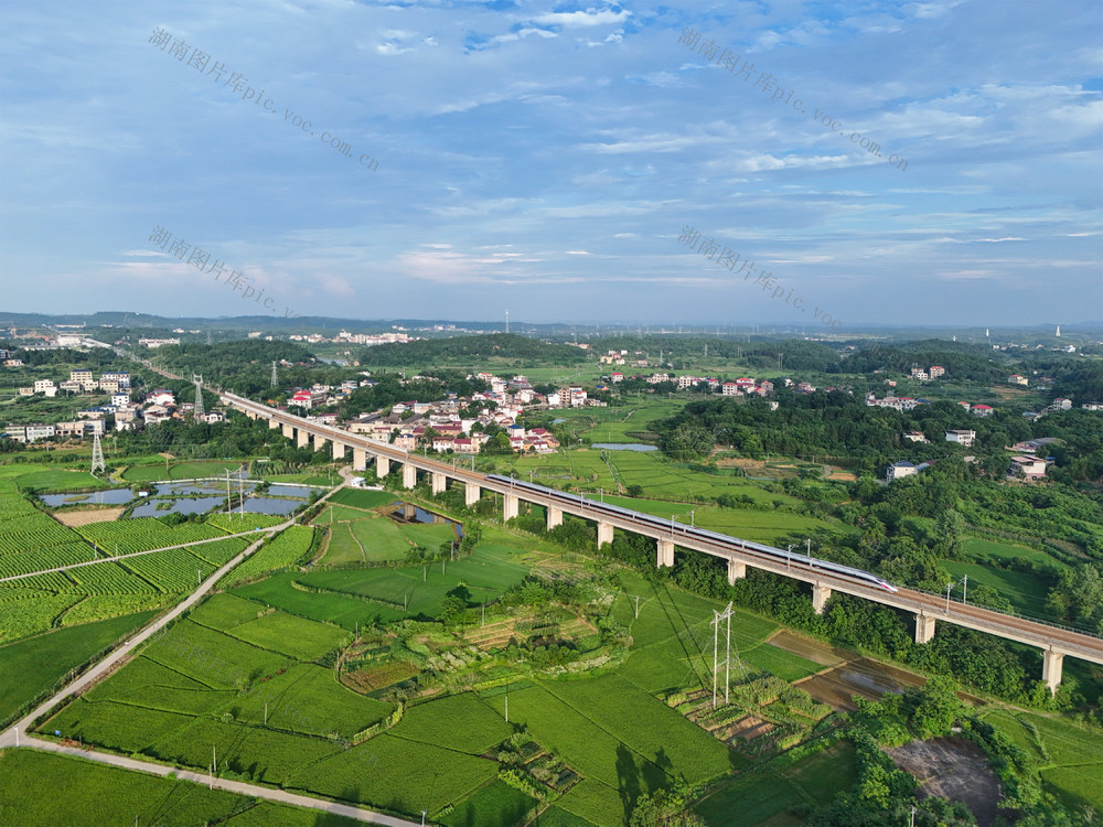 和美  乡村  高铁  动车组  列车  田野  